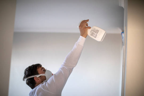 Professional Mold Removal in Desert View Highlands, CA