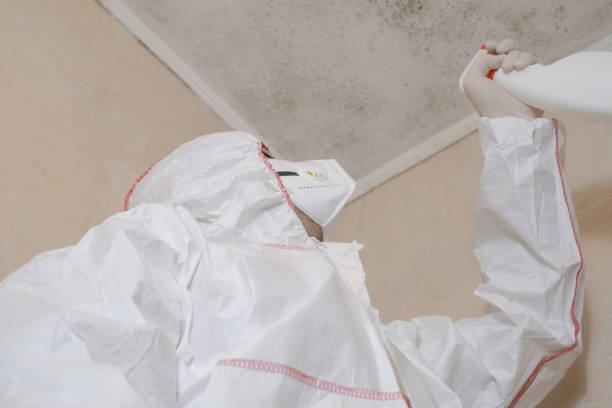 Crawl Space Mold Removal in Desert View Highlands, CA
