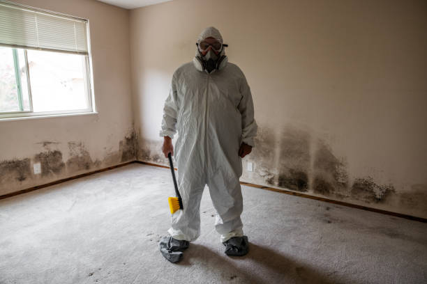 Best Office Mold Removal Services  in Desert View Highlands, CA